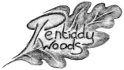 Pentiddy Logo.
